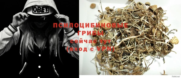 мяу мяу мука Куйбышев